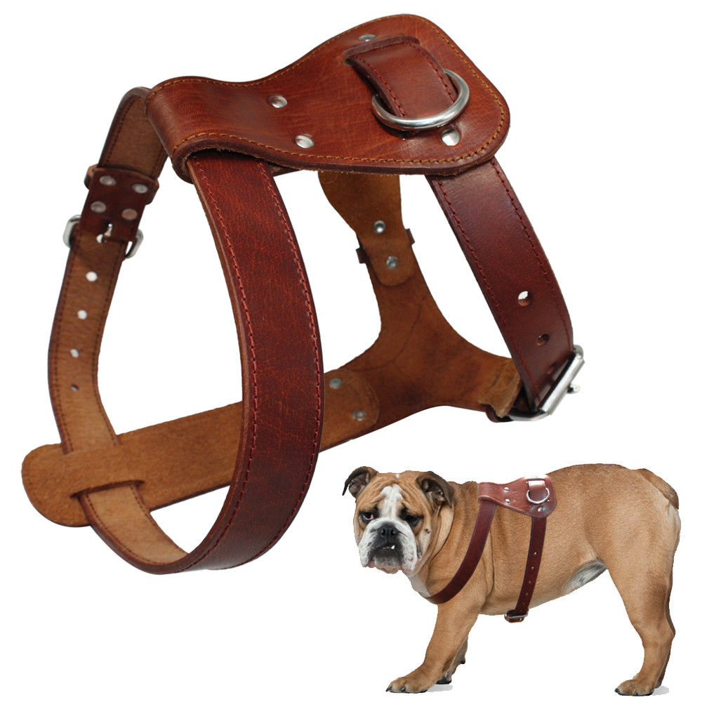 Genuine Leather Dog Harness