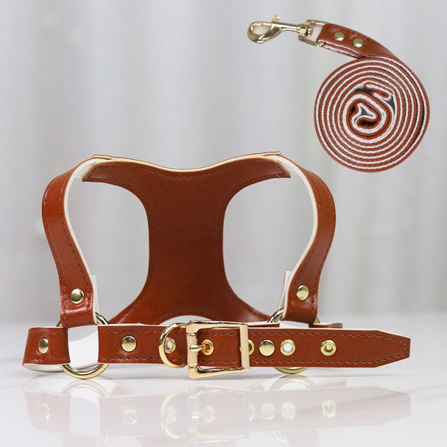 Leather Dog Harness and Leash Set