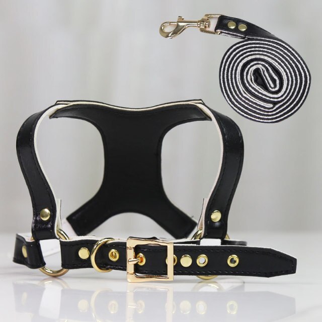 Leather Dog Harness and Leash Set