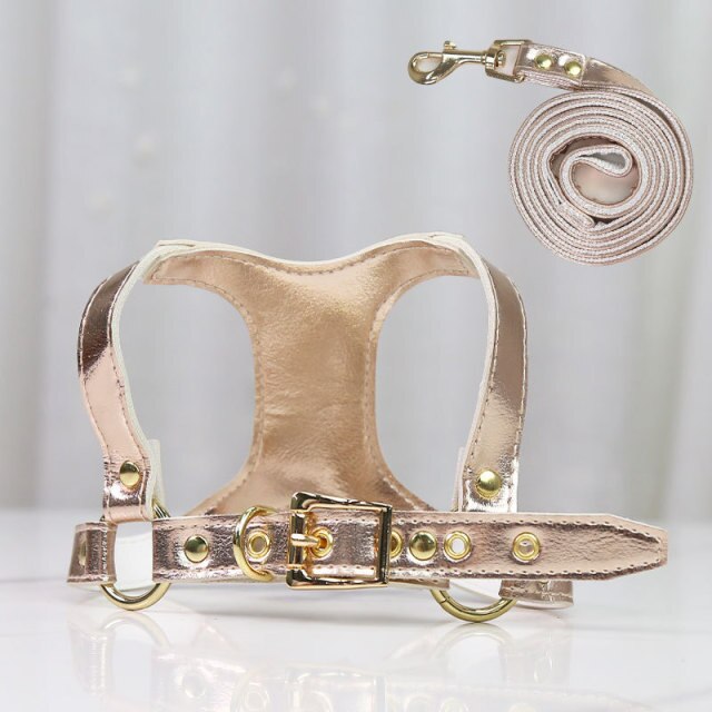 Leather Dog Harness and Leash Set