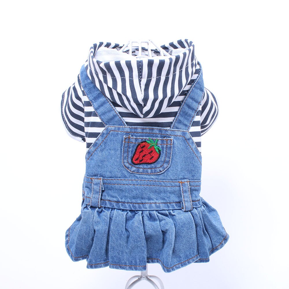 Jean Dress