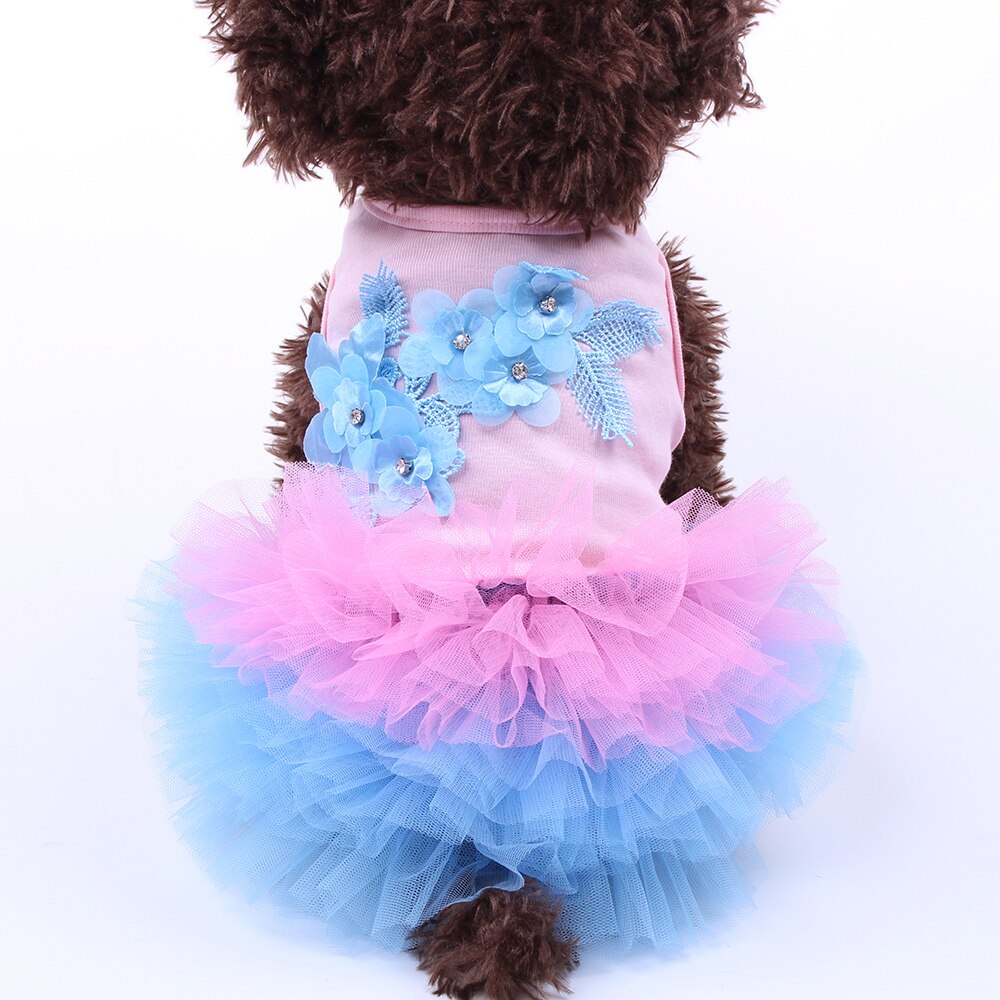 Lace TuTu