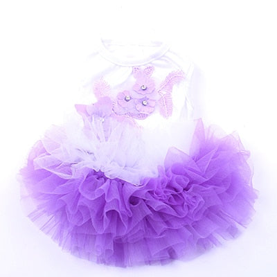 Lace TuTu