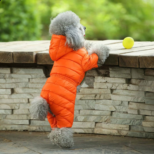 Ski Jacket