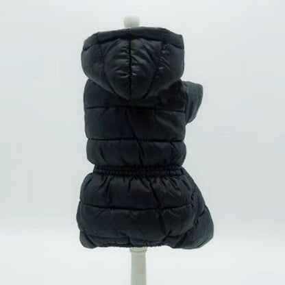 Ski Jacket
