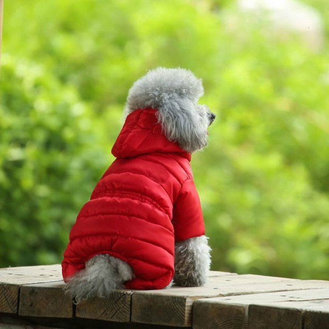 Ski Jacket