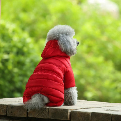 Ski Jacket