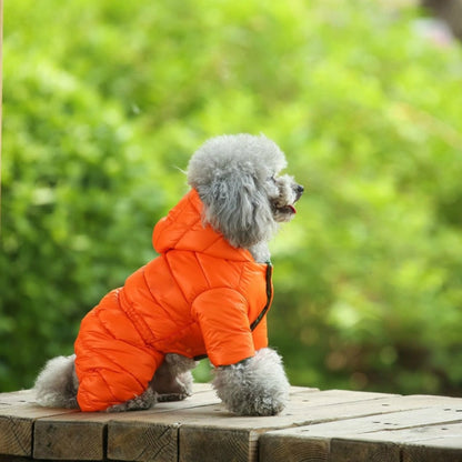 Ski Jacket