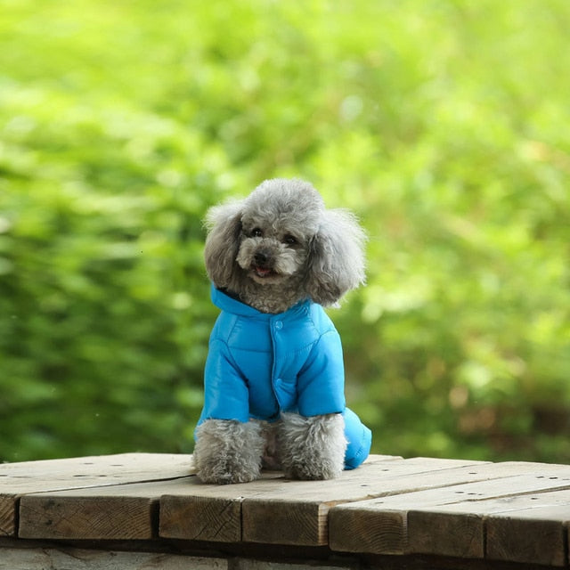 Ski Jacket