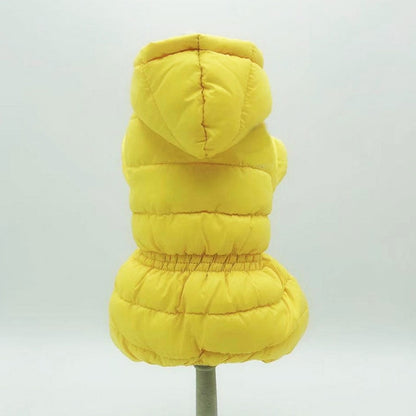 Ski Jacket