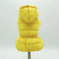 Ski Jacket