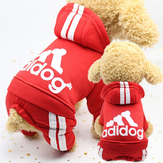Adidog Sweat Suit