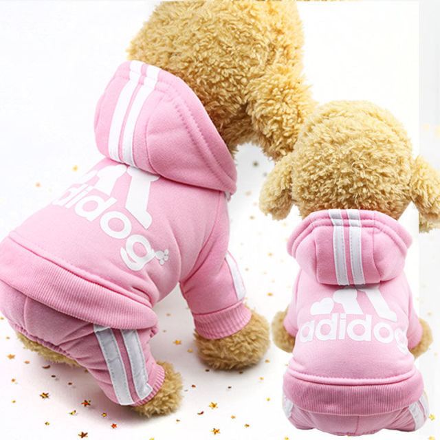 Adidog Sweat Suit
