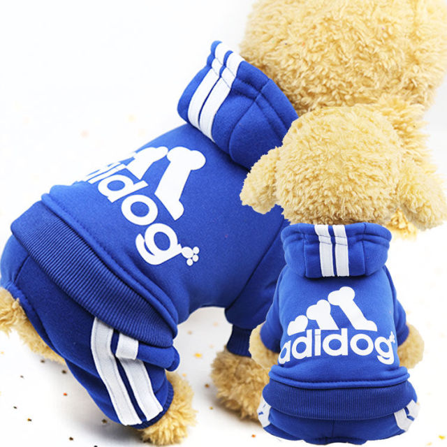 Adidog Sweat Suit