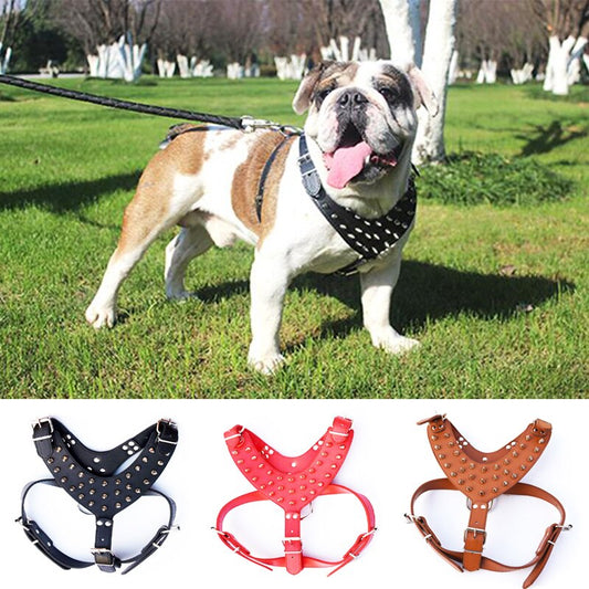 Adjustable Leather Harness