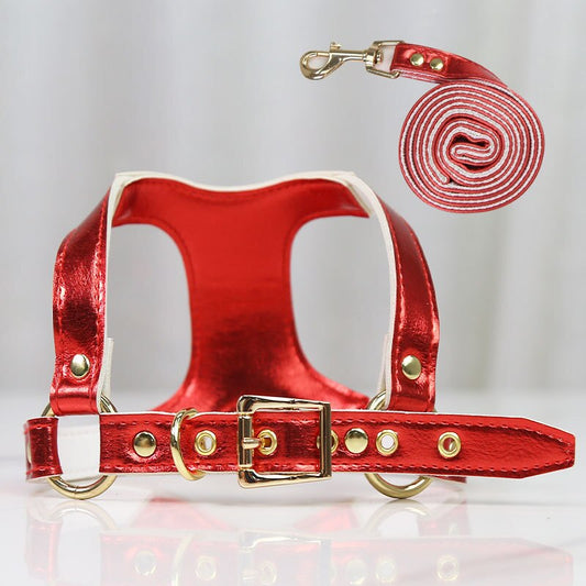Leather Dog Harness and Leash Set