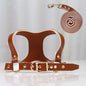 Leather Dog Harness and Leash Set