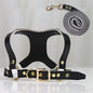 Leather Dog Harness and Leash Set
