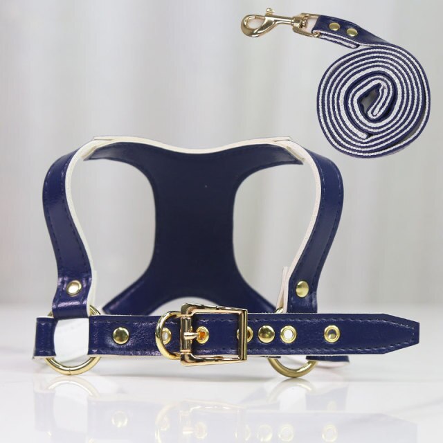 Leather Dog Harness and Leash Set