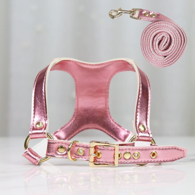 Leather Dog Harness and Leash Set