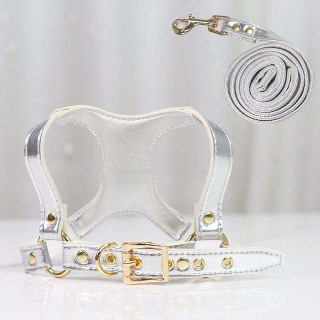 Leather Dog Harness and Leash Set
