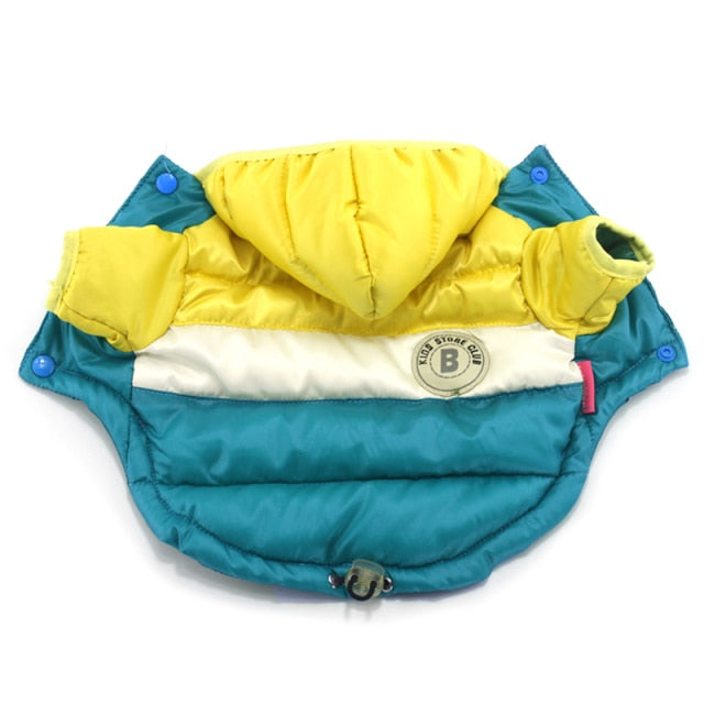 Waterproof Tri Color Jacket
