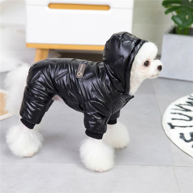 Shiny Winter Coat