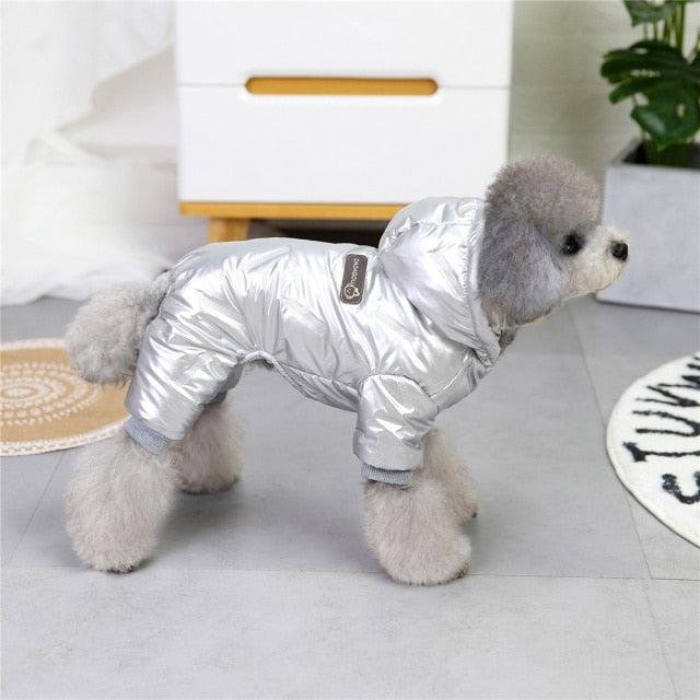 Shiny Winter Coat